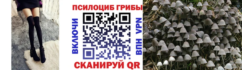 Псилоцибиновые грибы ЛСД Ермолино
